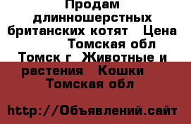 Продам длинношерстных британских котят › Цена ­ 2 500 - Томская обл., Томск г. Животные и растения » Кошки   . Томская обл.